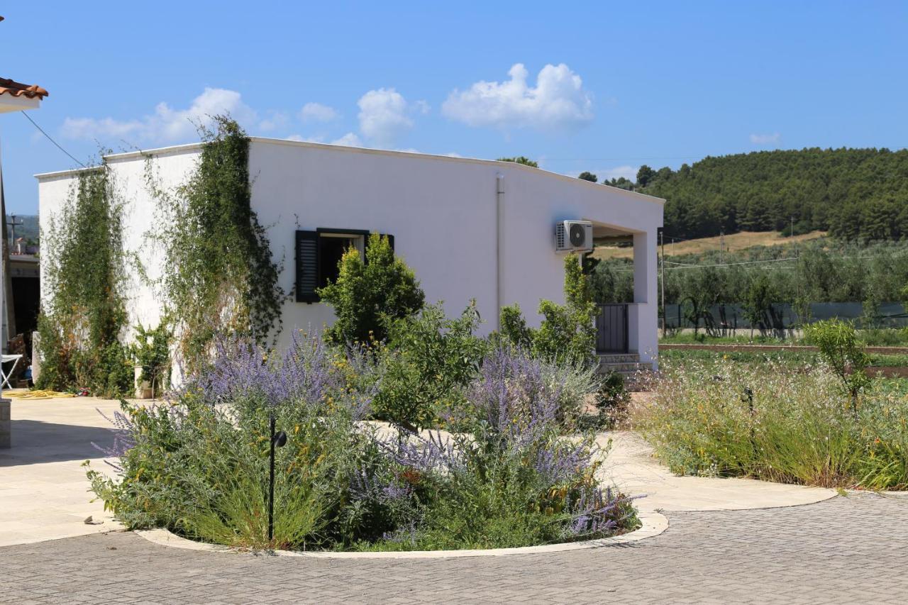 Annaluce Apartments Vieste Exterior photo