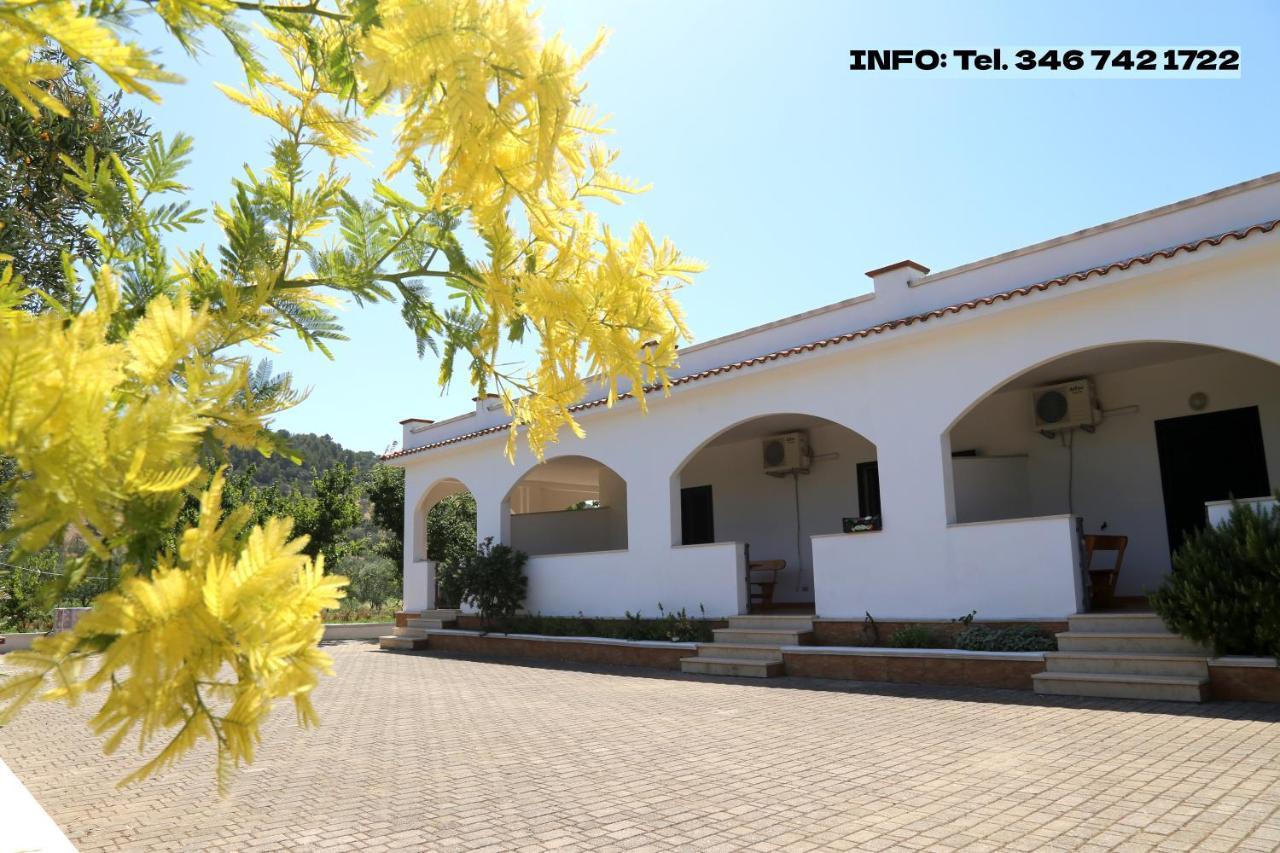 Annaluce Apartments Vieste Exterior photo